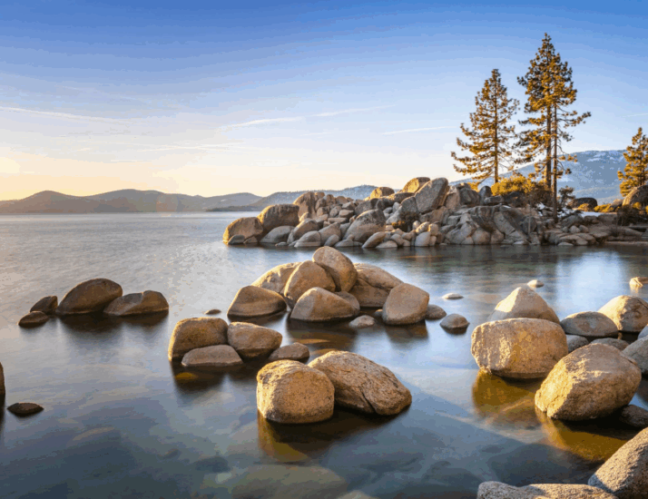 Reflection at the Funeral Mass of Sr. Dorothy Birk