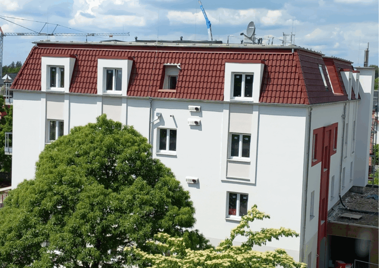 New Neighbors on the Monastery Grounds