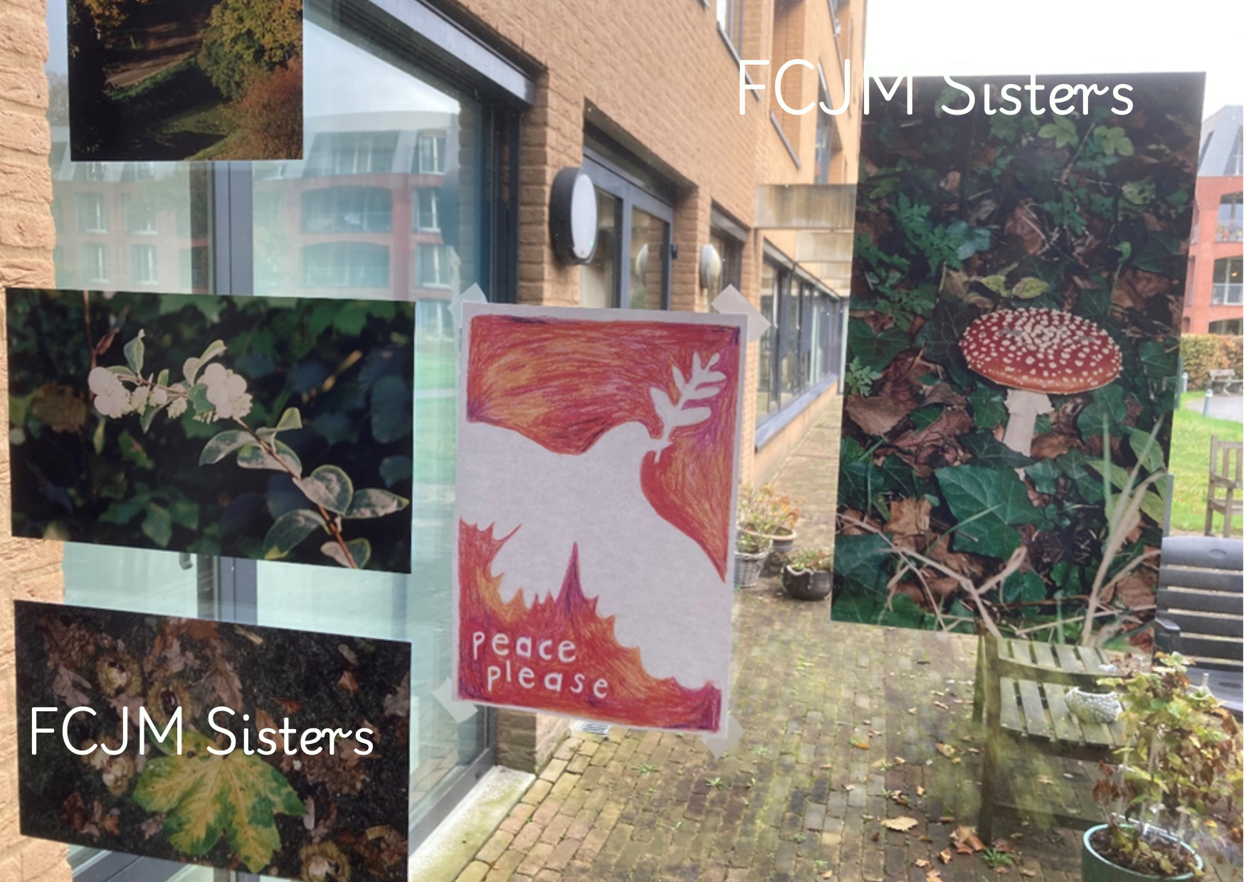 JPIC – Netherlands